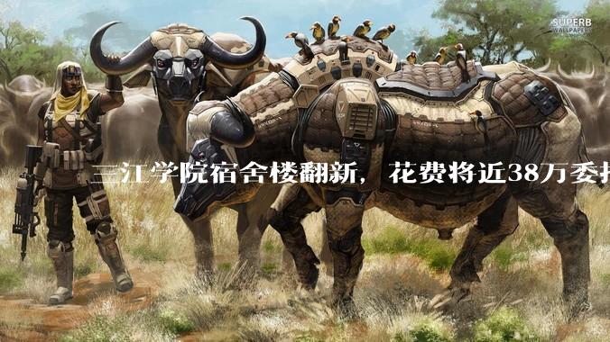 三江学院宿舍楼翻新,花费将近38万委托公司搬运行李,结果只有一个阿姨挑着扁担搬运行李,如何评价?